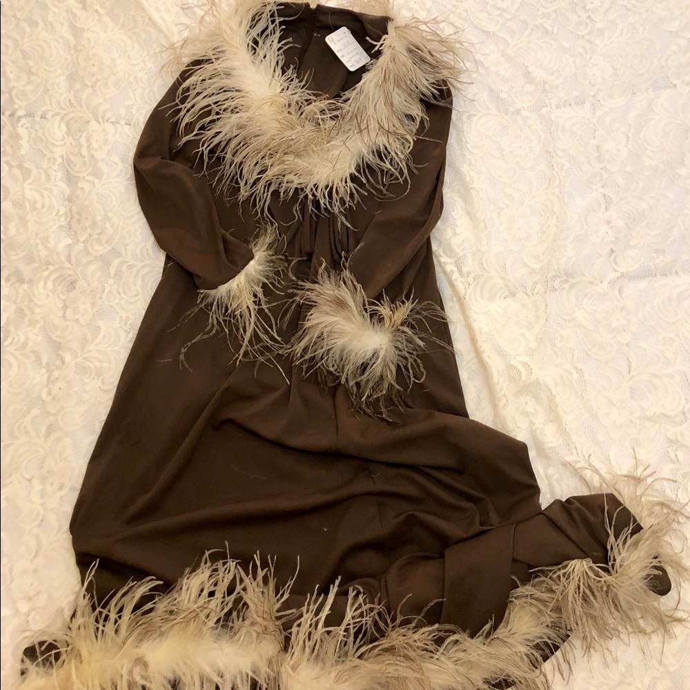 Exquisite 1960s Dress W/ Ostrich Feather